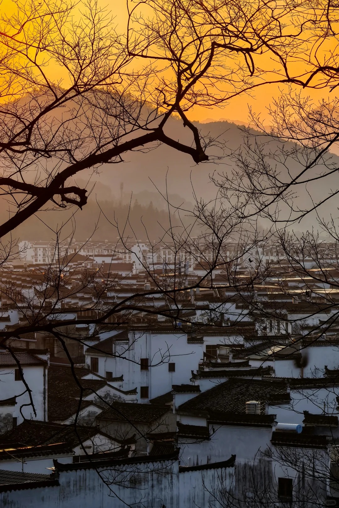 江湾的清晨_1_为谁开 茶花满路_婺源-古镇-来自52tours 我爱旅游网